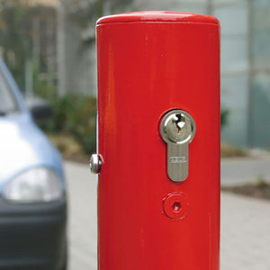 Minder-A Removable post top lock